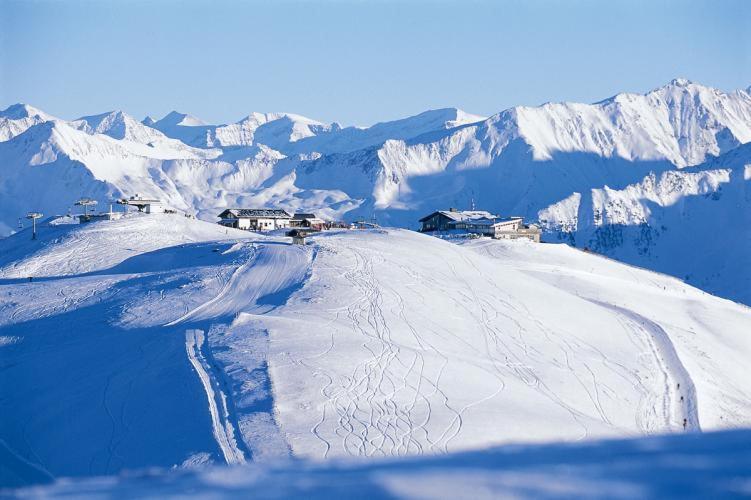 Almstube Fritz Appartement Wald im Pinzgau Buitenkant foto
