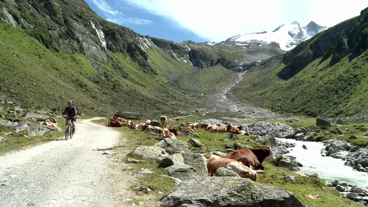 Almstube Fritz Appartement Wald im Pinzgau Buitenkant foto